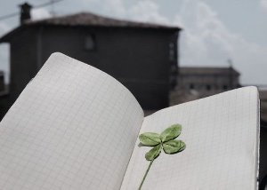 The four-leaf clover is a talisman that brings good luck