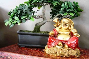 The happiness and prosperity in the house by the feng shui