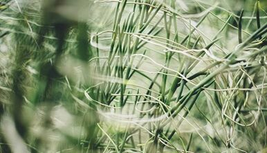 How to make a lucky amulet with your own hands